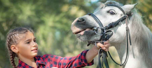 horse-anxiety-how-to-help-naturally