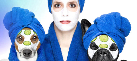 do-dogs-get-pimples