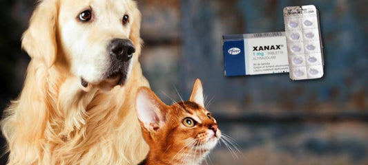 side-effects-of-xanax-for-dogs-and-cats-dosage