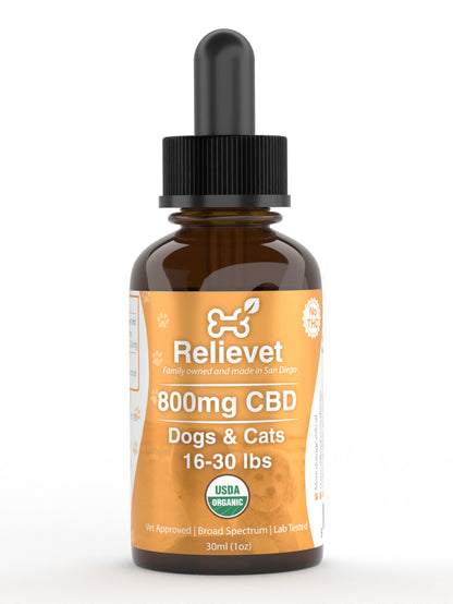 800mg cbd oil for dogs