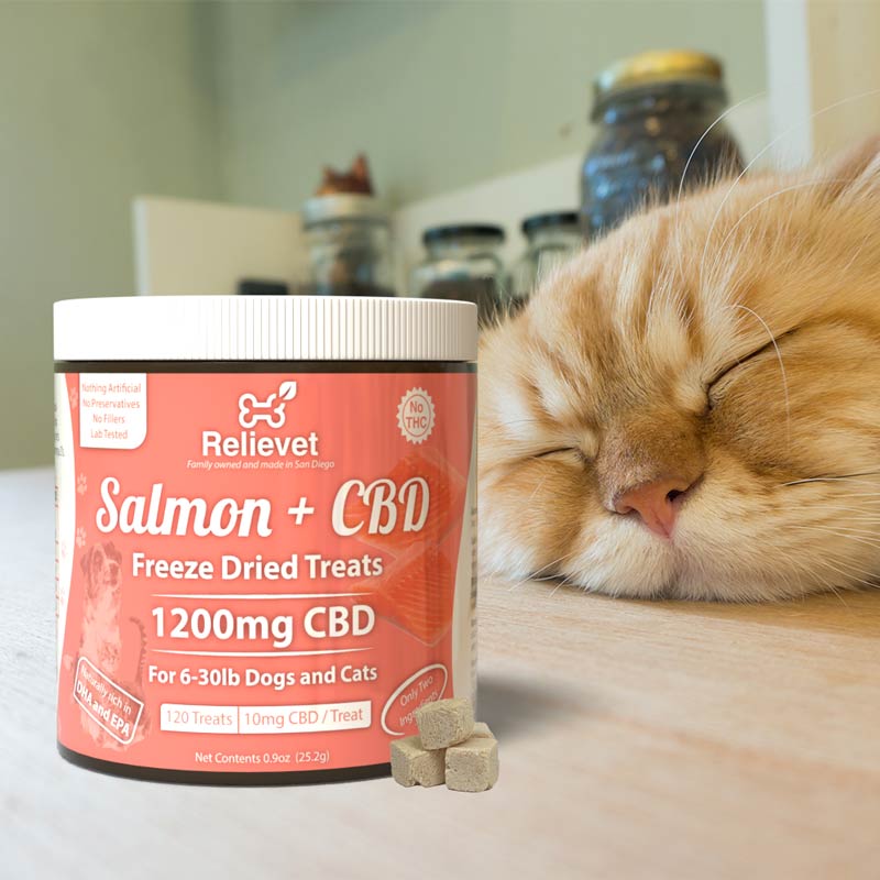 cbd cat treats