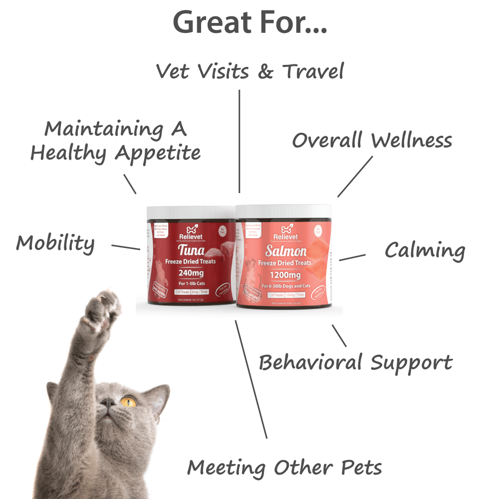 CBD Cat Treats