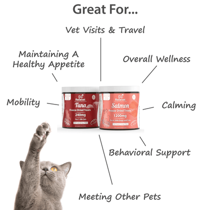 CBD Cat Treats