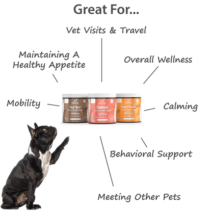 CBD Dog Treats