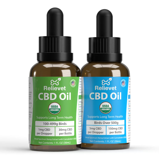 CBD Oil for Birds