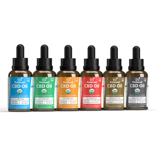 CBD Oil for Dogs