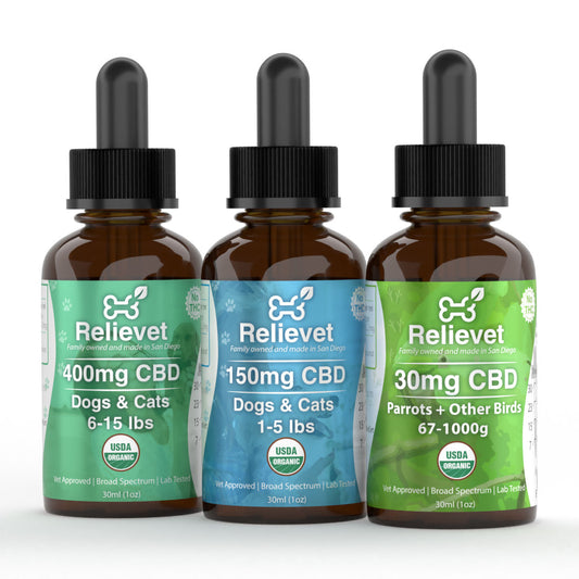 cbd oil for birds collection