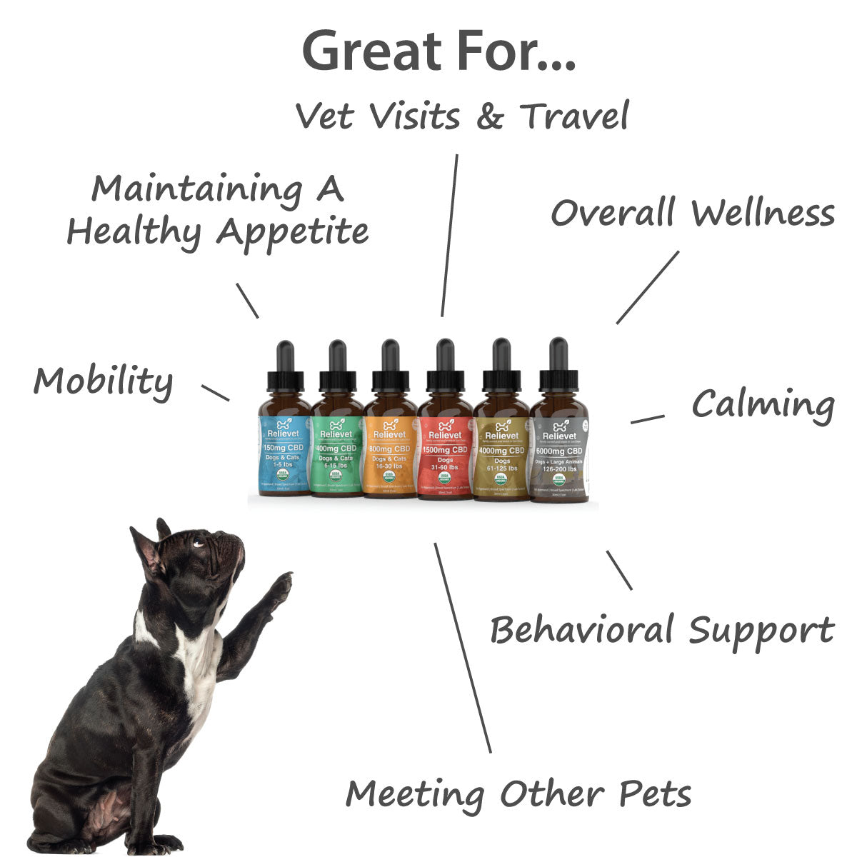 cbd oil for dogs benefits