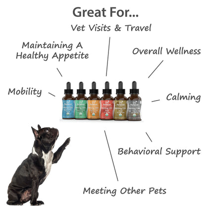 cbd oil for dogs benefits