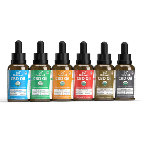 CBD Oil for Dogs