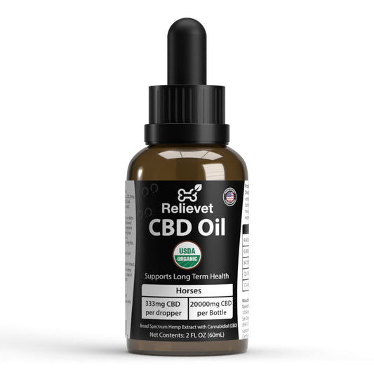 CBD Oil For Horses