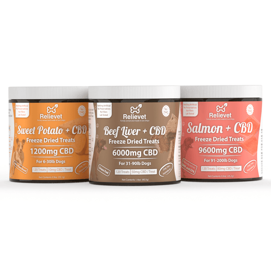dog treats