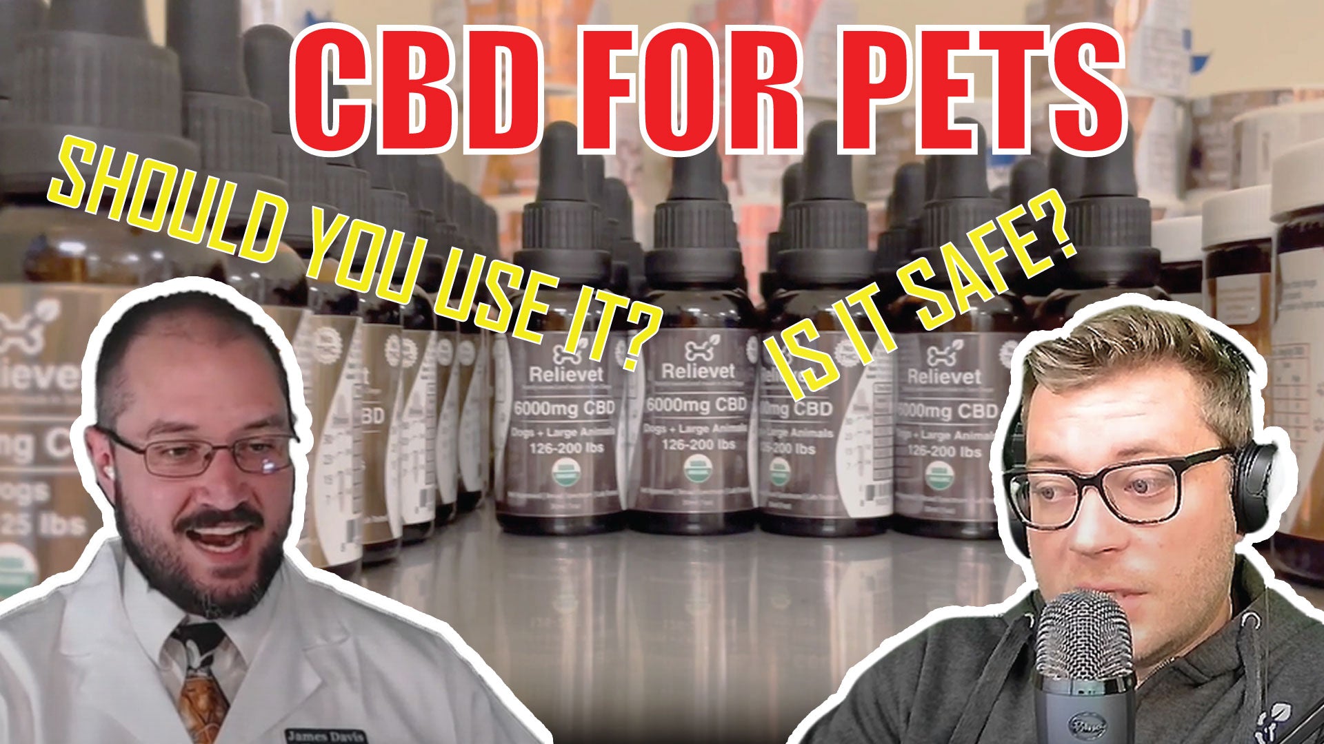 Load Video: Figure out if CBD is the right choice for your pet