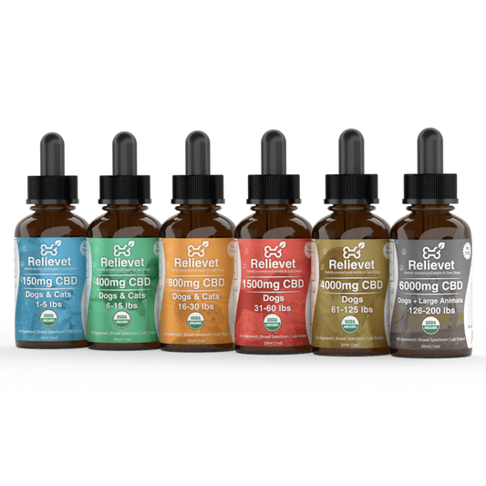 CBD Oil For Dogs