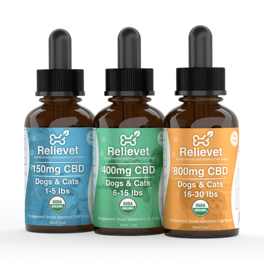 CBD Oil For Cats