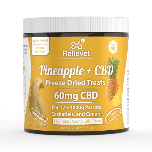 CBD Parrot Treats