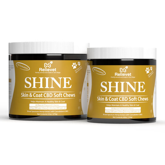 Skin and Coat CBD Chews for Dogs
