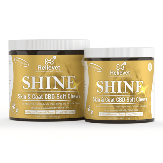Skin and Coat CBD Chews for Dogs