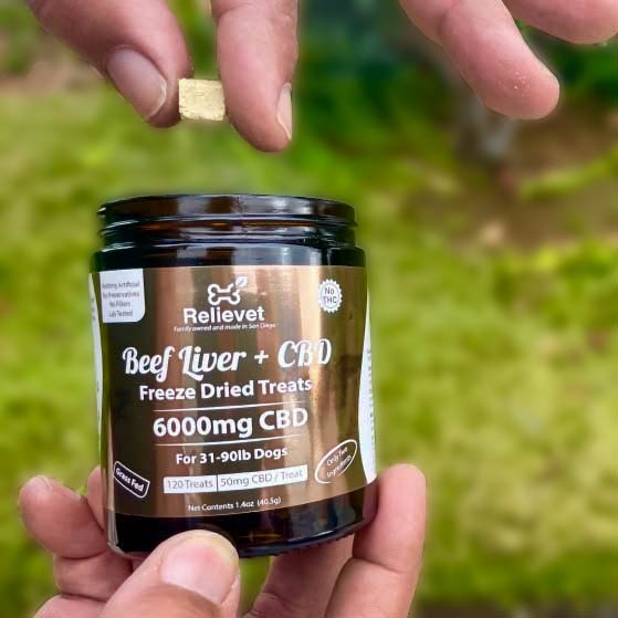 cbd dog treats