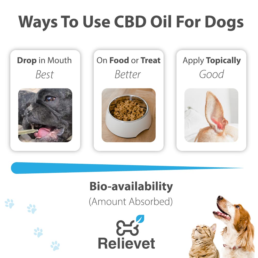 ways-to-use cbd oil for dogs
