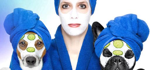 do-dogs-get-pimples