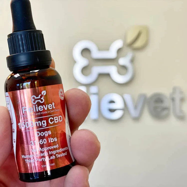 cbd oil for pets in hand