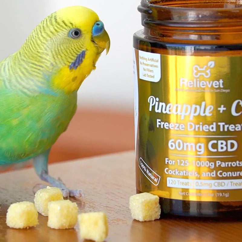 is cbd safe for pets bird with treats