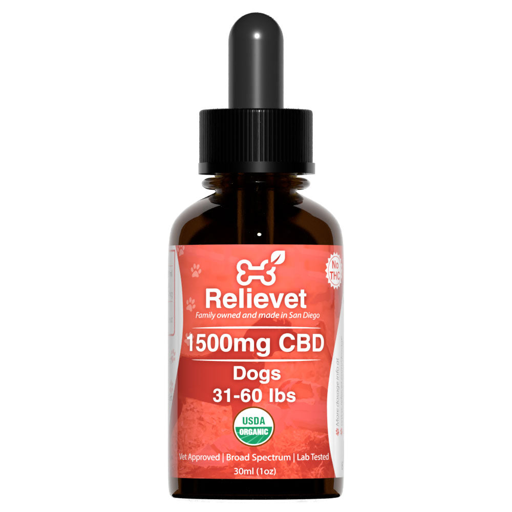 CBD Oil For Dogs