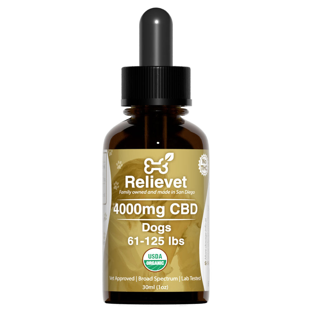 CBD Oil For Dogs