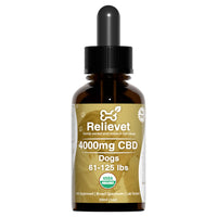 CBD Oil For Dogs