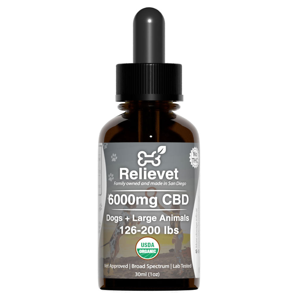 CBD Oil For Dogs
