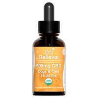 CBD Oil For Dogs