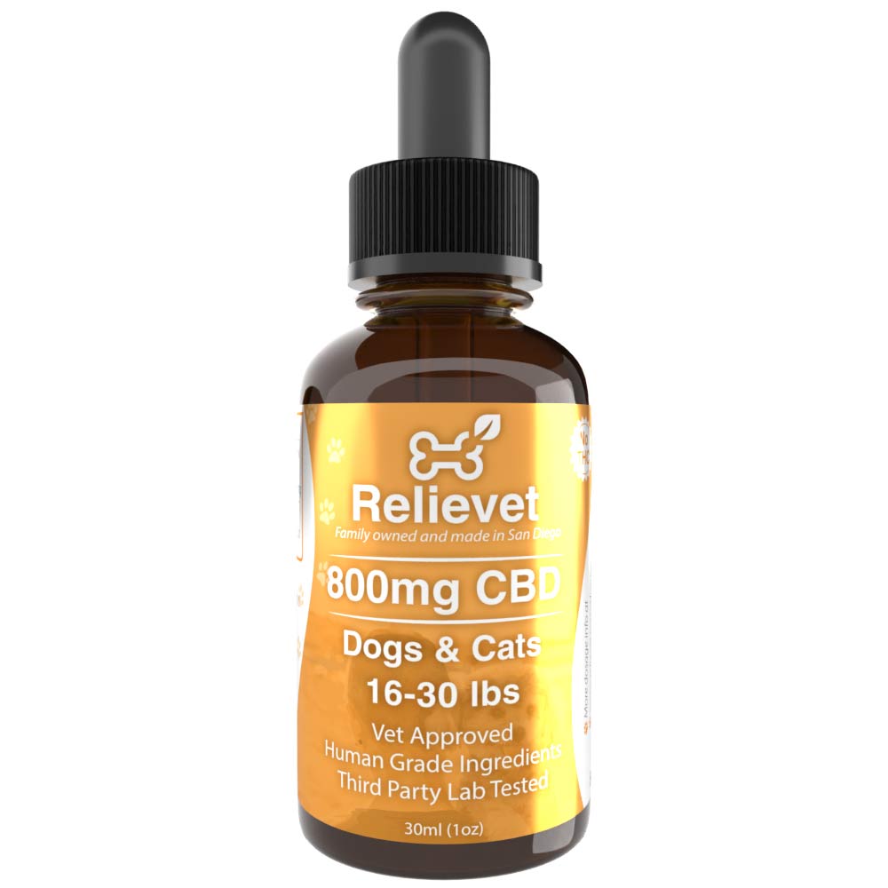 CBD Oil For Cats
