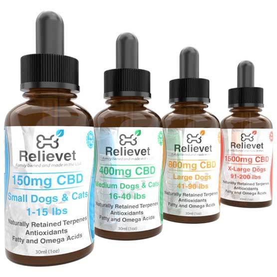 cbd oil for dogs collection