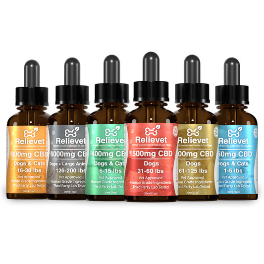 all cbd oils for dogs