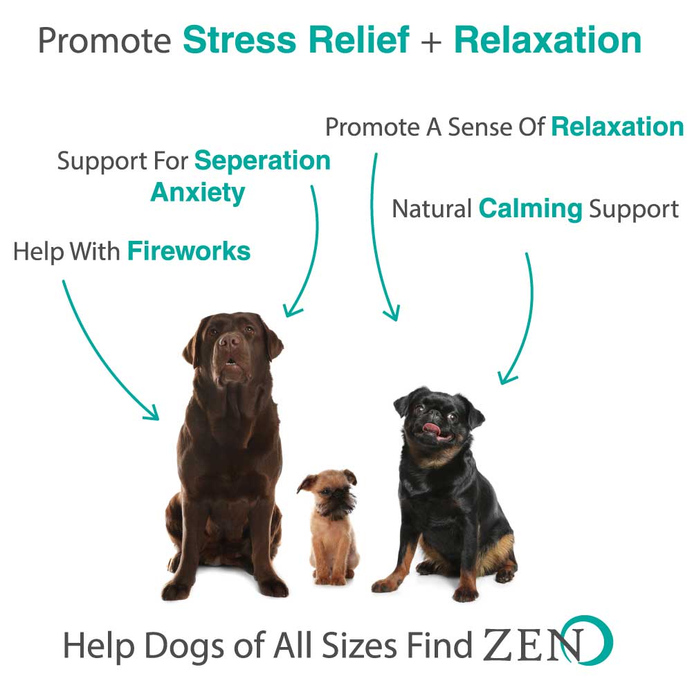 calming chews for dogs benefits