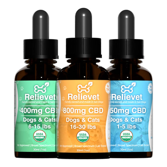 CBD Oil For Cats