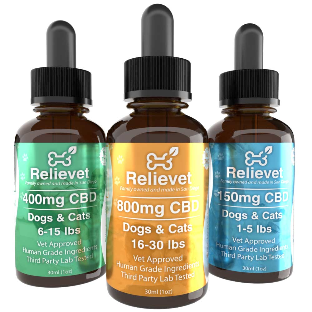 CBD Oil For Cats