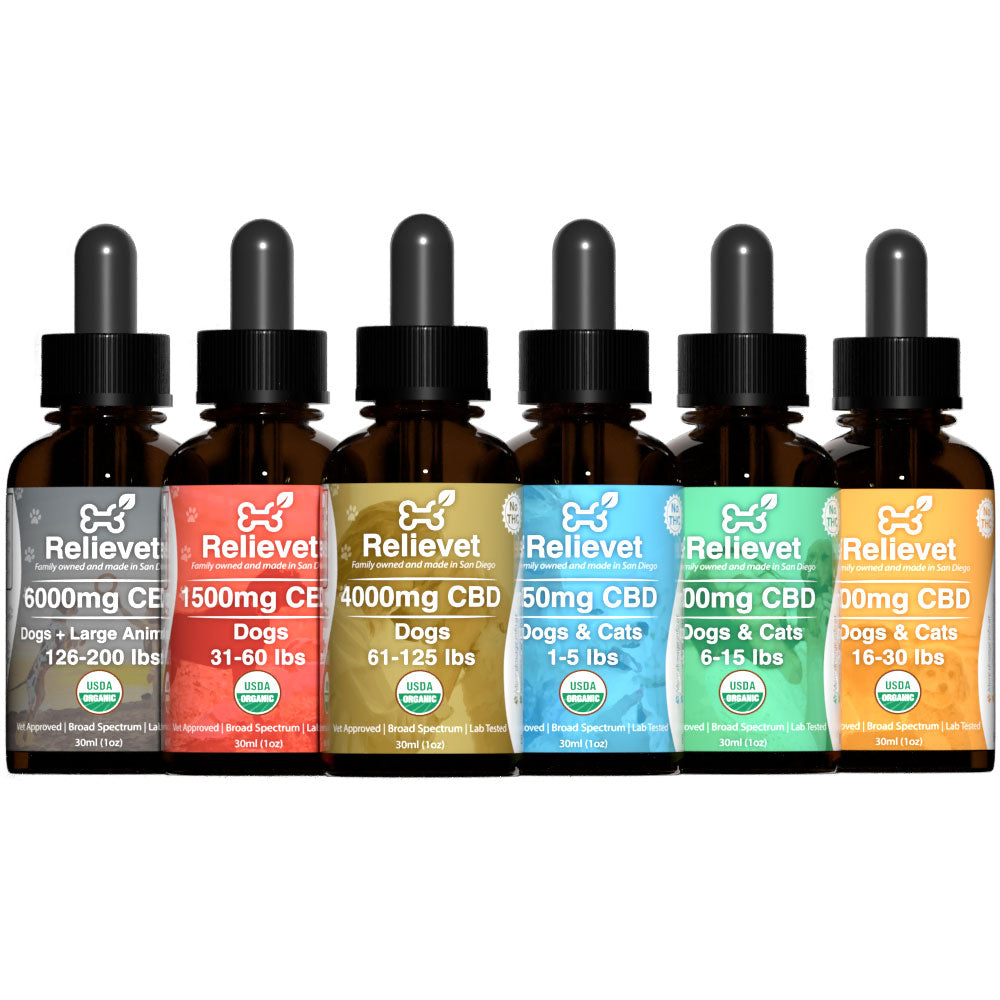 CBD Oil For Dogs