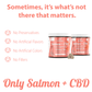 CBD Dog Treats