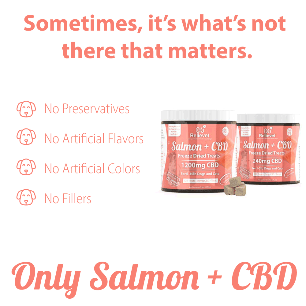 CBD Dog Treats