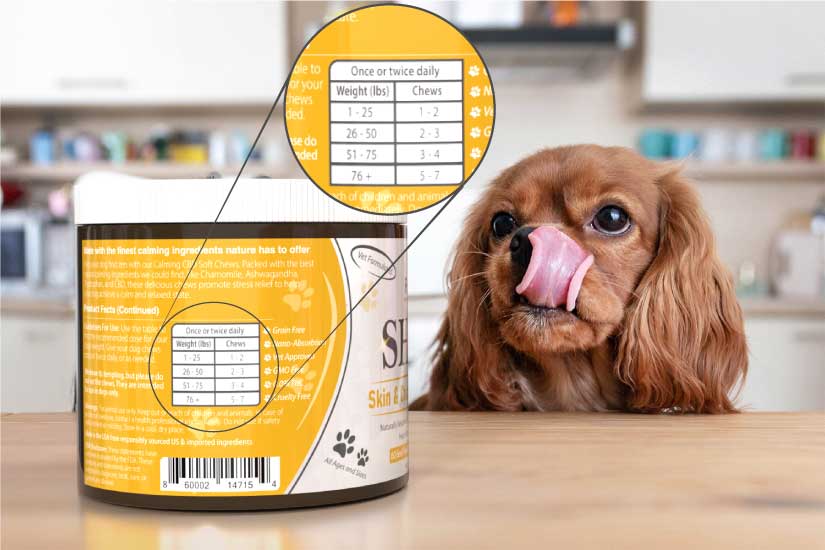 Skin and Coat Chews for Dogs - Shine