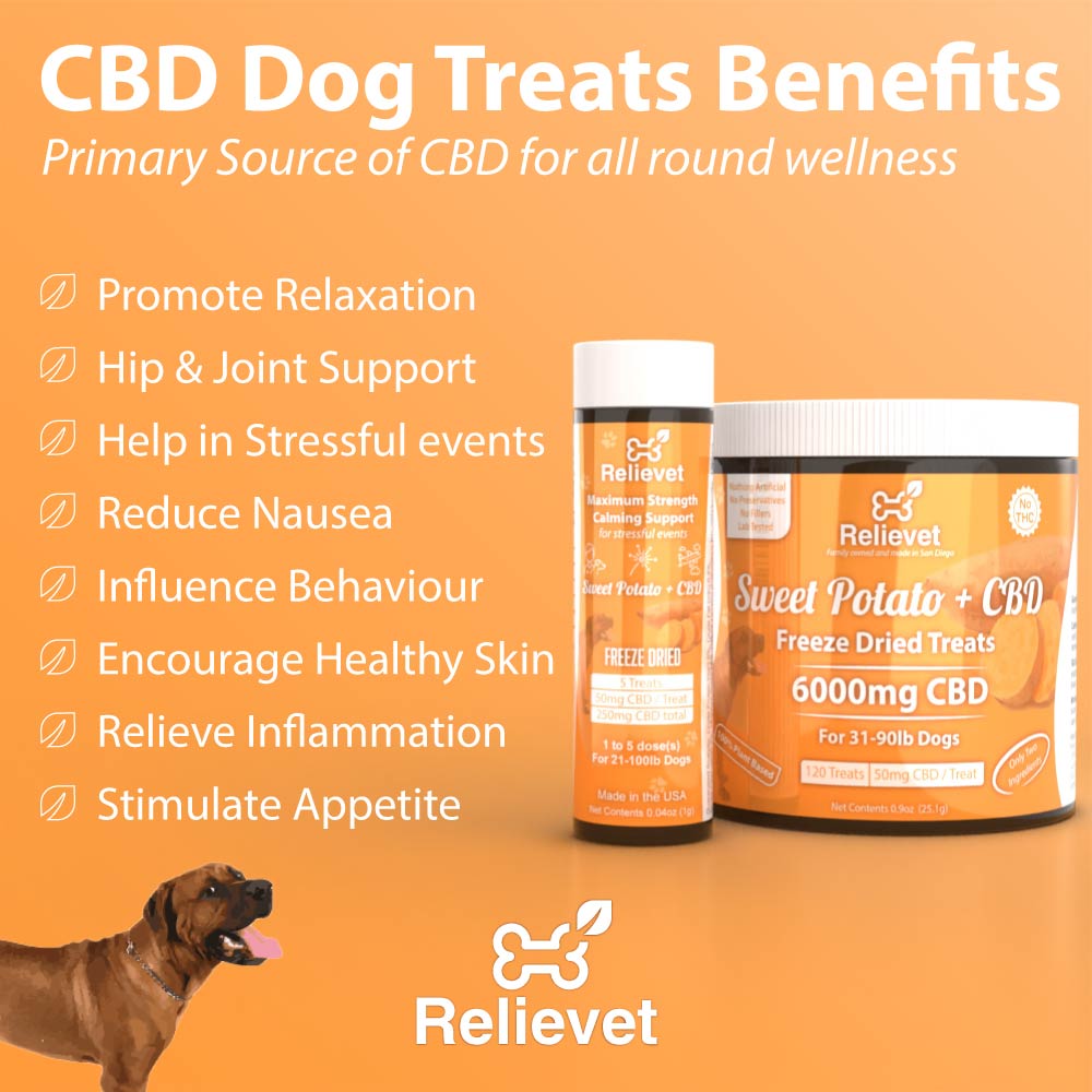 CBD Dog Treats