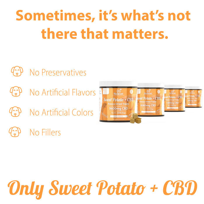 CBD Dog Treats
