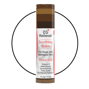CBD hot spot and itchy skin soothing balm for dogs CBD hot spot and itchy skin soothing balm for dogs