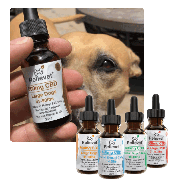 cbd for pets dog oil collection