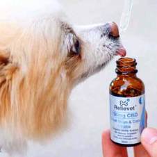 Mobility Hip and Joint Chews For Dogs customer Mobility Hip and Joint Chews For Dogs customer