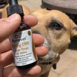 Topical CBD for dogs customer Topical CBD for dogs customer