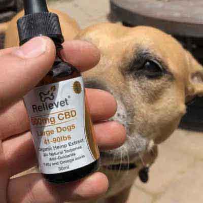 CBD hemp chews for dogs customer CBD hemp chews for dogs customer