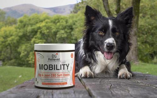 Mobility Hip and Joint Chews For Dogs Mobility Hip and Joint Chews For Dogs